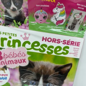 livre d’activité Magazine Les petites Princesses Edition Fleurus avec son carnet secret neuf !