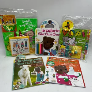 Lot de 5 livres d’activité Magazine Spécial Petit Ours Brun gommettes jeux histoire activités Neuf