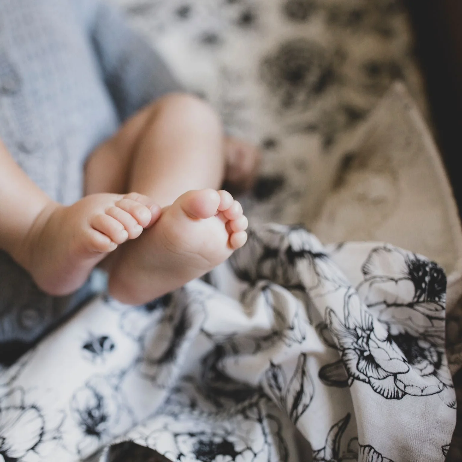 Tetra XL Bumble Love – Image 4