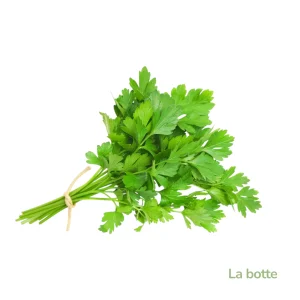 Persil plat la botte-France