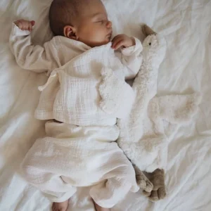 Liste de Naissance Benazzi I Doudou / Bouillotte Oie Blanche