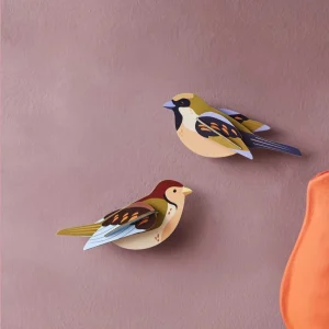 Décoration Murale Oiseau Moineau - Studio Roof