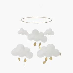 Mobile Cloud Snowberry