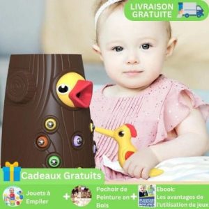 NourishBird™-Jouets magnétique attrape-ver | Jeux enfants