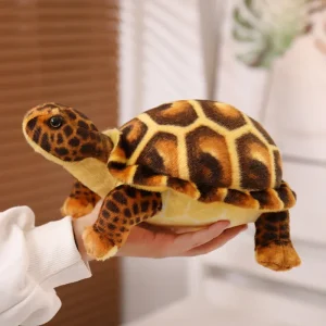Peluche Tortue Attentive - 25cm