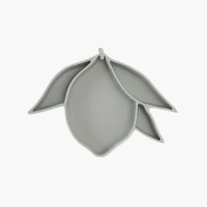 Bol à Compartiments Lemon Whale